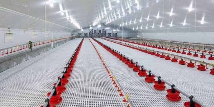 Poultry House application showing structural steel use in the relevant project.