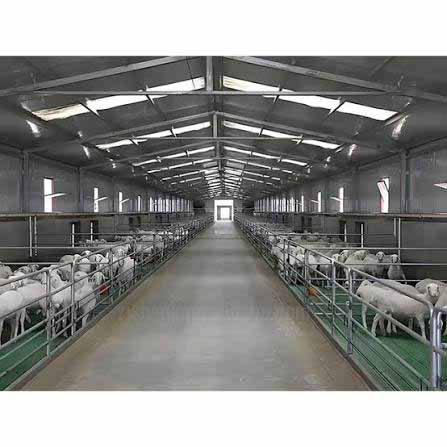 Sheep and Goat Barn application showing structural steel use in the relevant project.