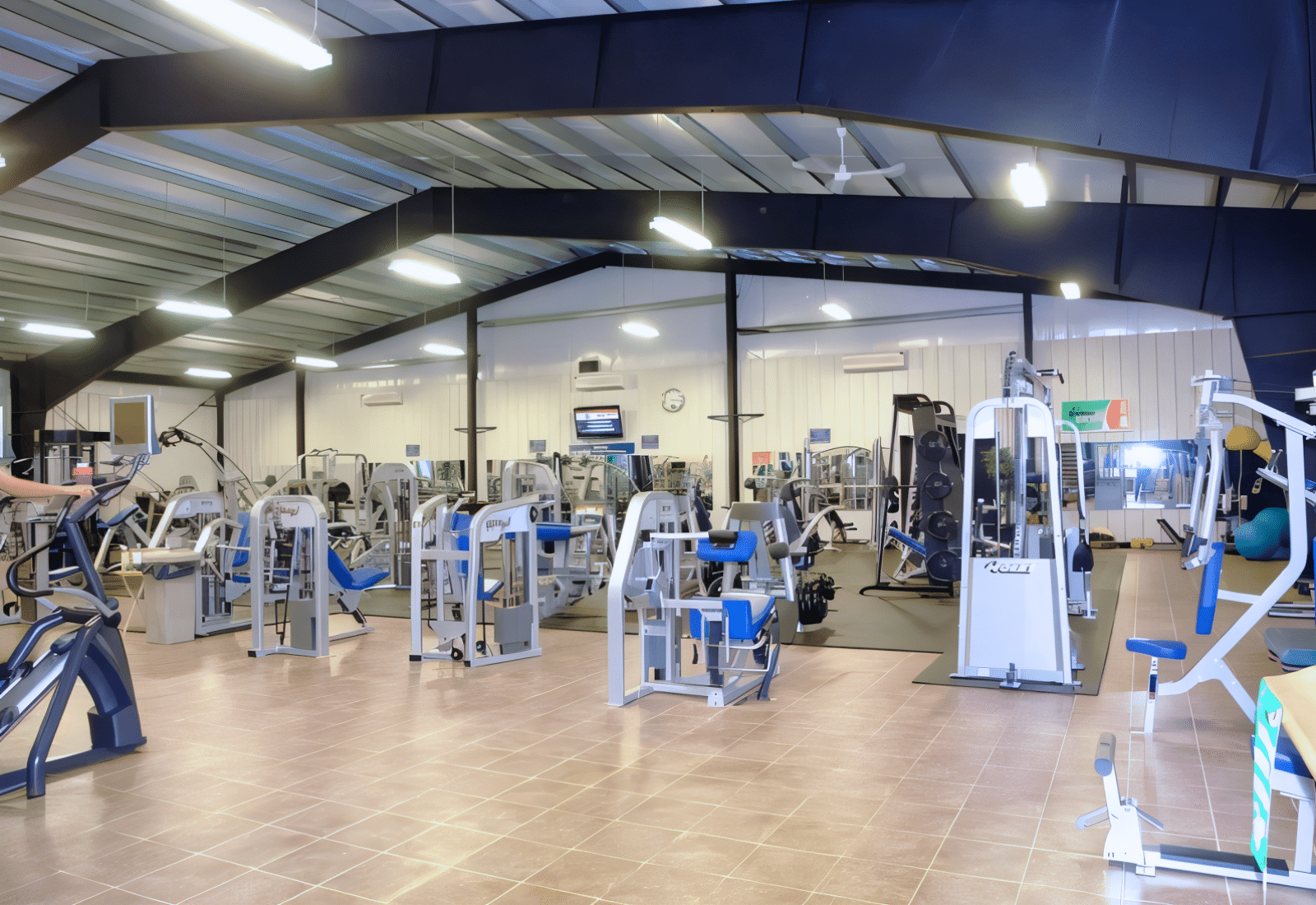 Stadium and Gymnasium steel structure showing the overall building or component configuration.