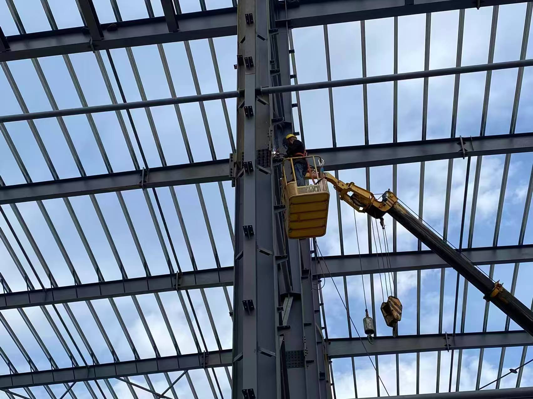 Steel columns and roof members during cold storage building construction
