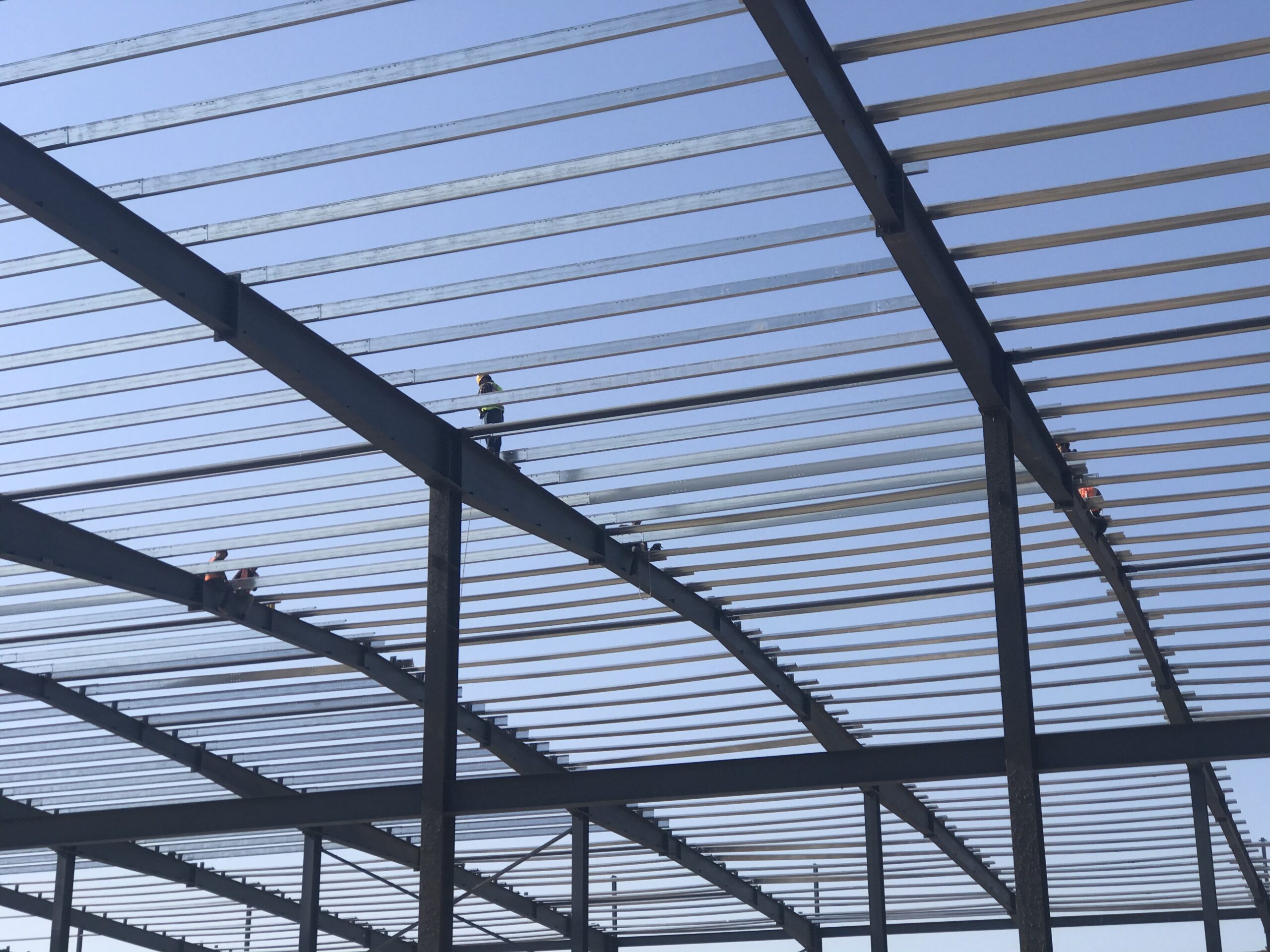 Roof purlins and bracing in an industrial workshop